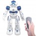 Interactive Intelligent Robot 